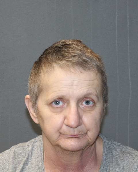 Debra Chrestensen mugshot-newer